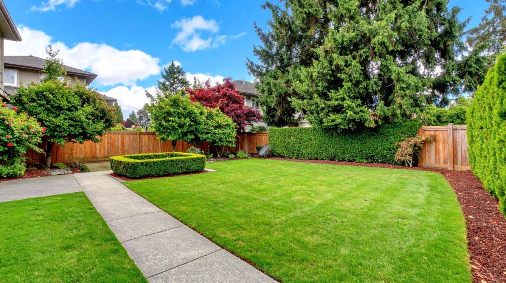 What Services Can You Expect From Just Right Lawns